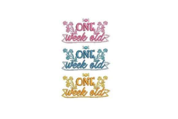 Baby Milestone 1 Week Embroidery Review