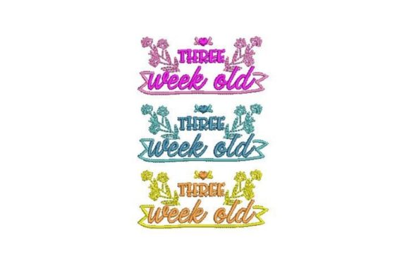 Baby Milestone 3 Weeks Embroidery Review